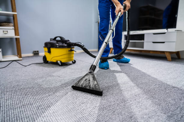 Get Free Carpet Cleaning Tips