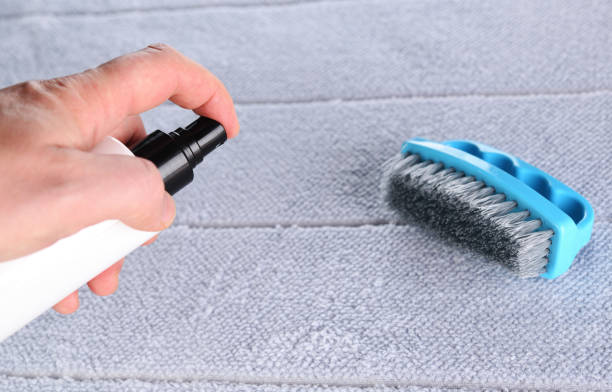 7 Easy Tips To Clean Carpet At Home