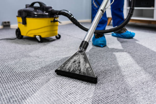 What Carpet Cleaning Machine Is Best for Auto Detailing?