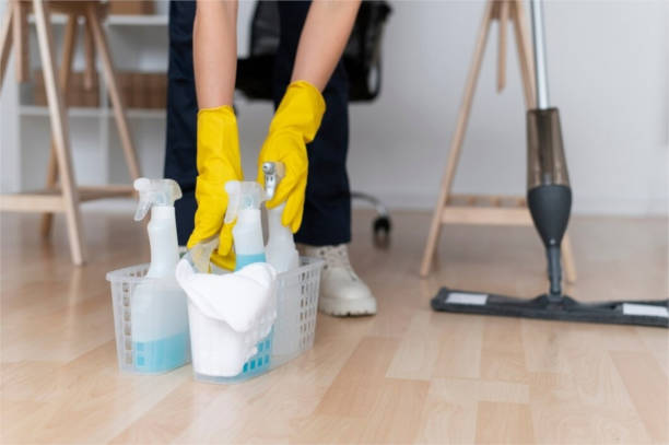 7 Easy Tips To Clean Carpet At Home
