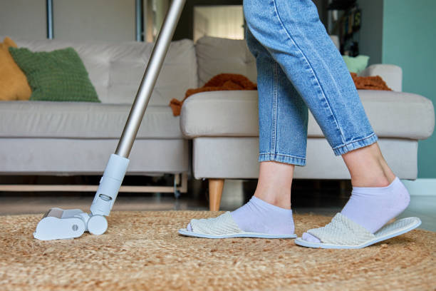 Portable Carpet Cleaner